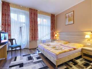 Мотели Rodar Богушув-Горце Двухместный номер с 1 кроватью или 2 отдельными кроватями-6