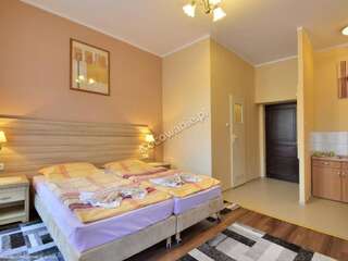 Мотели Rodar Богушув-Горце Двухместный номер с 1 кроватью или 2 отдельными кроватями-19